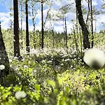 Feriehus Veslekoia - Grandmas