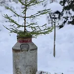Veslekoia - Grandmas Feriehus