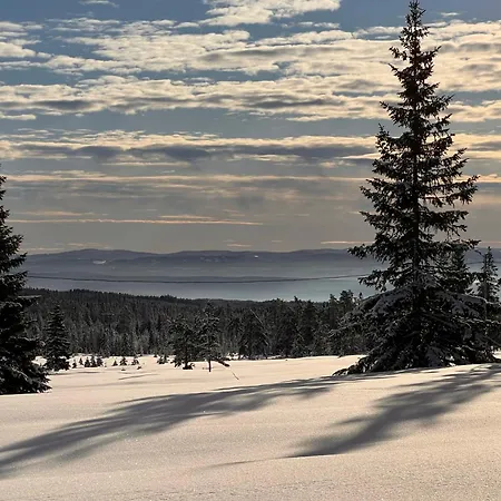 Veslekoia - Grandmas