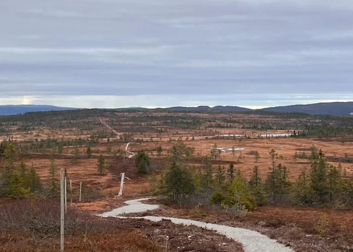 Veslekoia - Grandmas Feriehus Oksna
