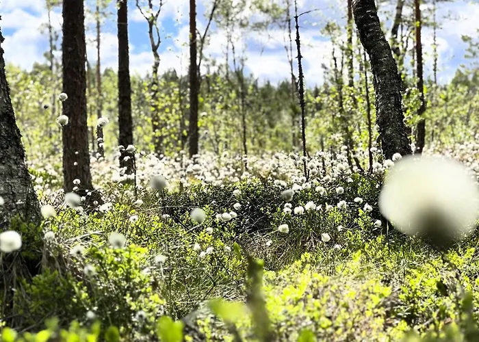 Feriehus Veslekoia - Grandmas